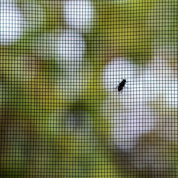 Mosquiteras para ventanas